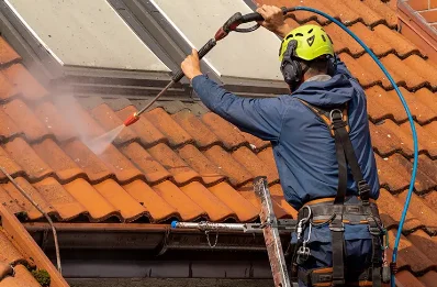 Démoussage et hydrofuge de toiture à Pauilhac